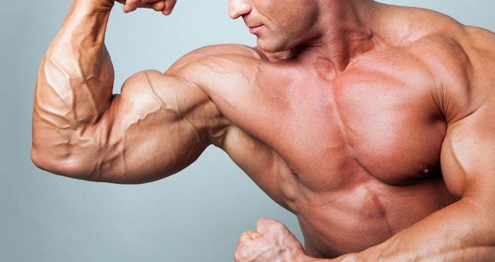 What are the benefits of performing biceps and triceps workouts