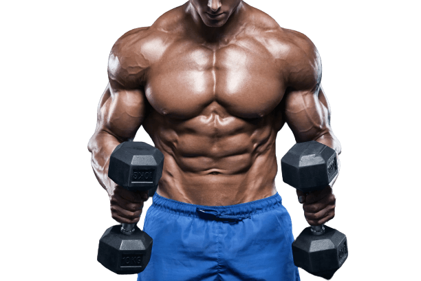 Muscular Hypertrophy: The Science and Steps for Building Muscle