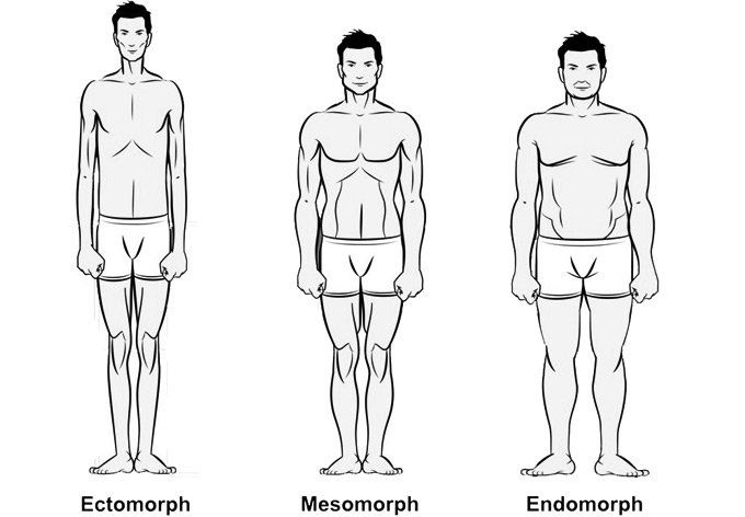 Male Body Types