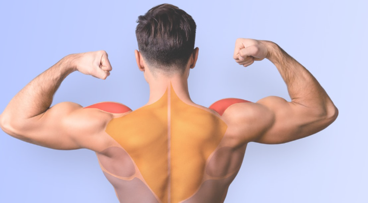 Shoulder Mobility Exercises