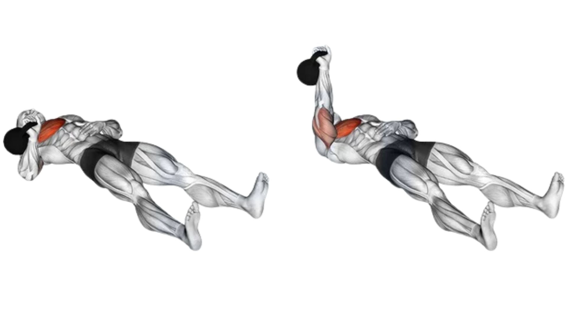 Kettlebell Floor Press