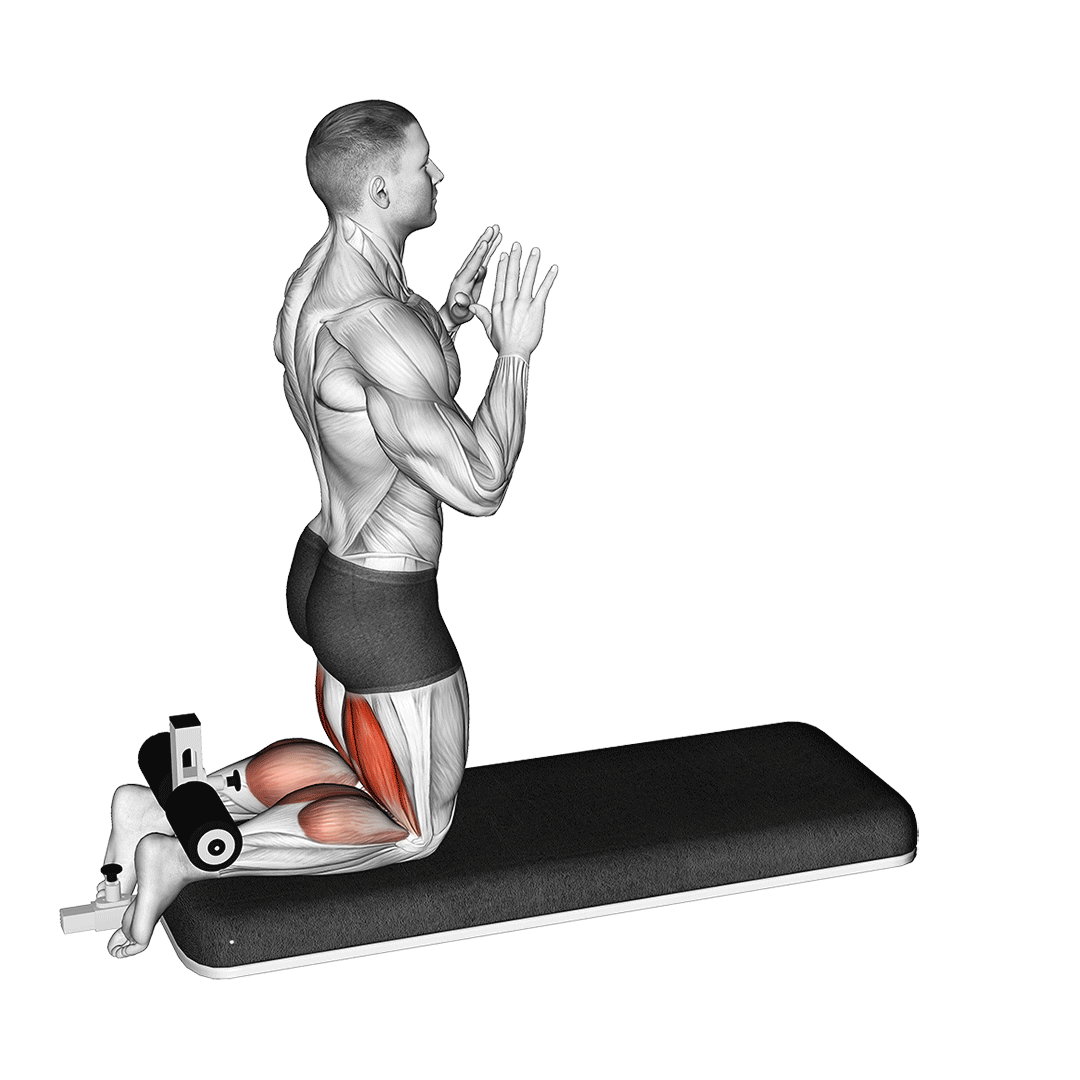 Nordic leg extension hotsell